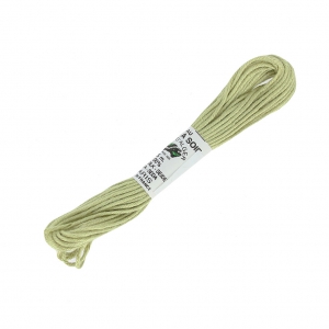 Filo da ricamo Seta d'Alger Tiglio (3832) x5m