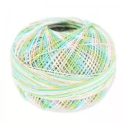 Filo cotone Lizbeth taglia 20 Wild Flower n°109 x192m