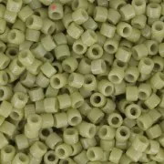 Miyuki Delica Duracoat 11/0 DB2124 - Opaque Cactus x8g