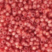 Rocaille Miyuki Duracoat 11/0 4244 - Dyed Persimmon Silver Lined x8g