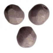 Faccette Pacifica Fig 4 mm x50