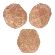 Sfaccettate mm. 3 Pacifica Macadamia x50|raw }}