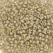 Rocaille Miyuki Duracoat 11/0 4201 - Argento galvanizzato x 100 g
