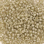 Rocaille Miyuki Duracoat 11/0 4201 - Argento galvanizzato x 100 g