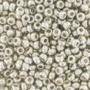 Rocaille Miyuki Duracoat 11/0 4201 - Galvanized Silver pacchetto da100g