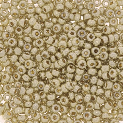 Rocaille Miyuki Duracoat 11/0 4201 - Argento galvanizzato x 100 g