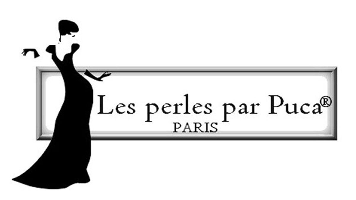 Schema Intervista creativa con Puca