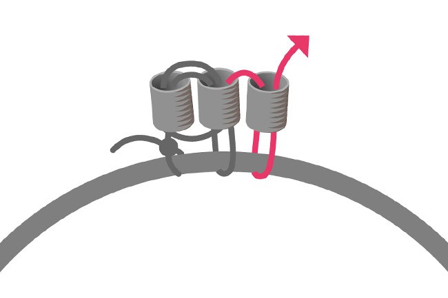 Come tessere perline attorno ad un anello? : Tappa 3