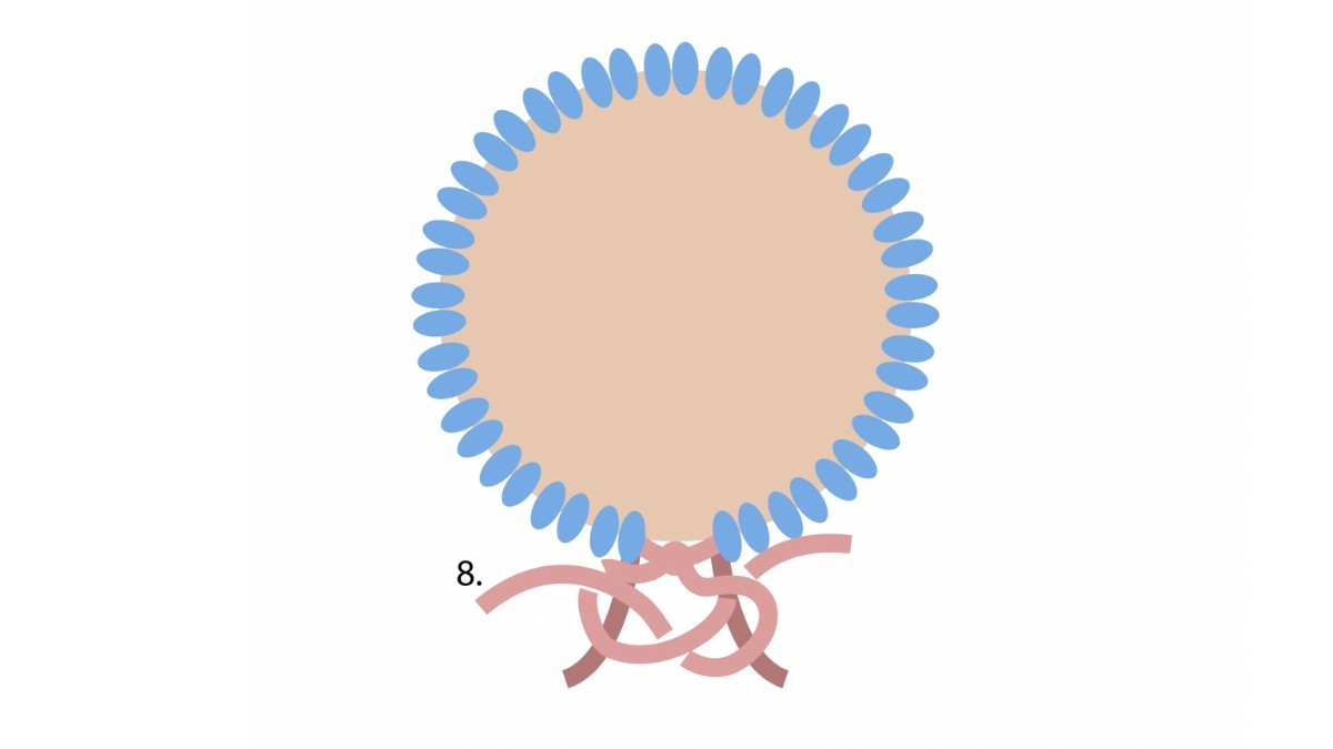 Come crimpare una pietra macramè? : Tappa 8