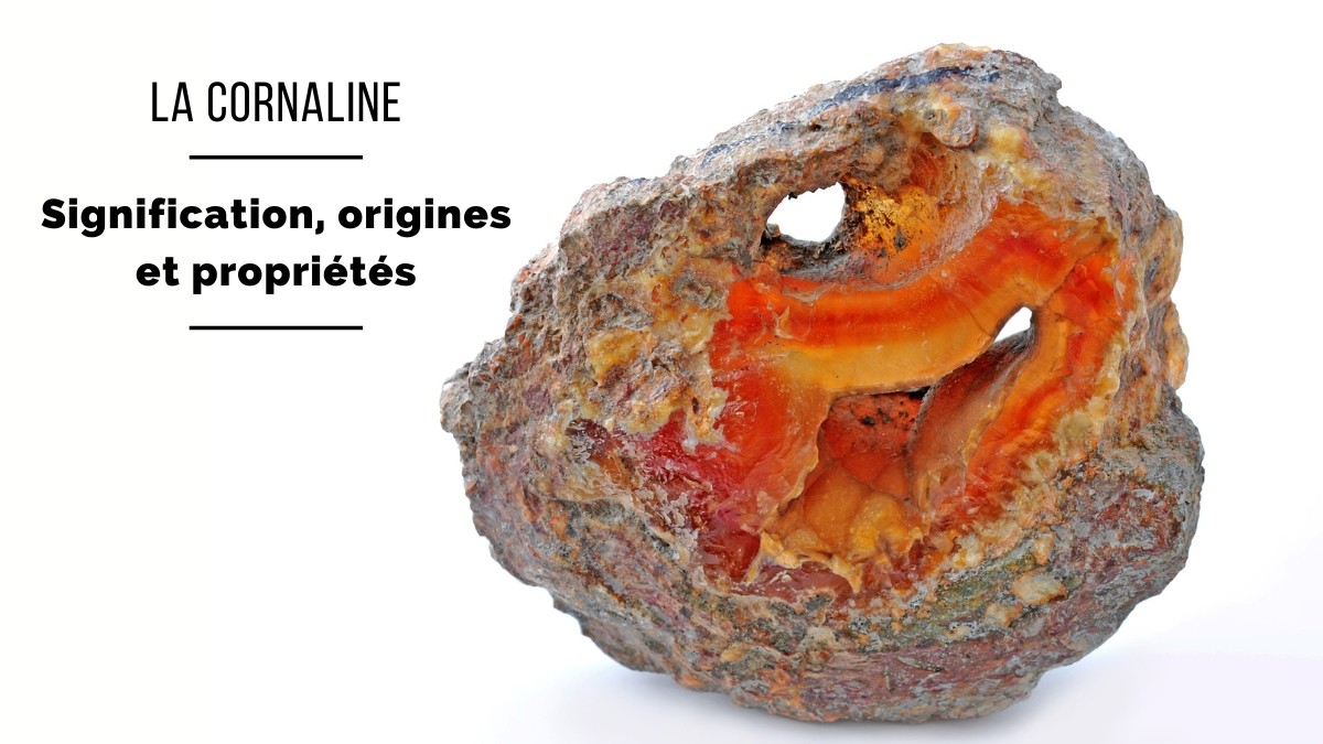 Corniola: significato, origini e proprietà Corniola: significato, origini e proprietà