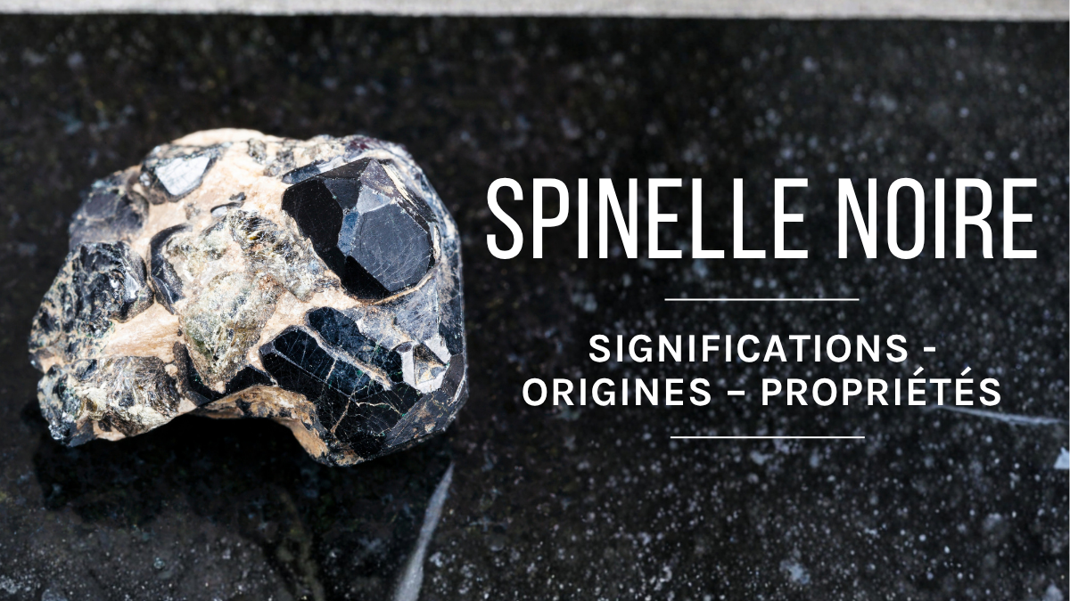 Spinello nero : Origine, significato e virtù