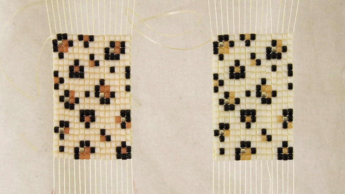 Toho Aiko vs Miyuki Delica a confronto