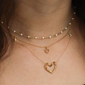 collier résistant acier inoxydable
