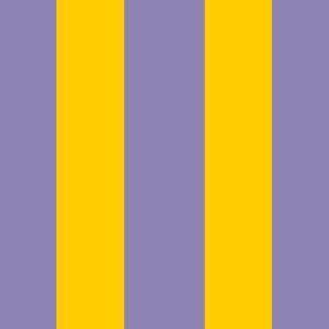 association couleur tendance : violet et jaune moutarde