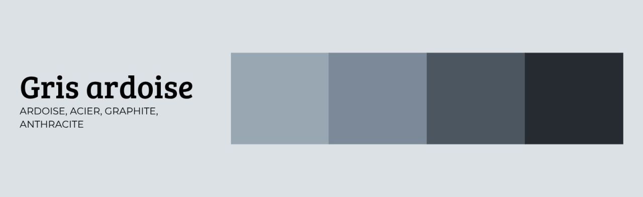 gris ardoise - tendance automne hiver 26-27
