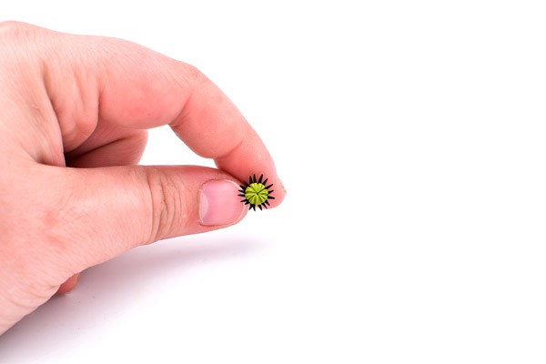 Collana di papaveri fai da te in facile argilla Fimo : Tappa 7 Collana di papaveri fai da te in facile argilla Fimo : Tappa 7