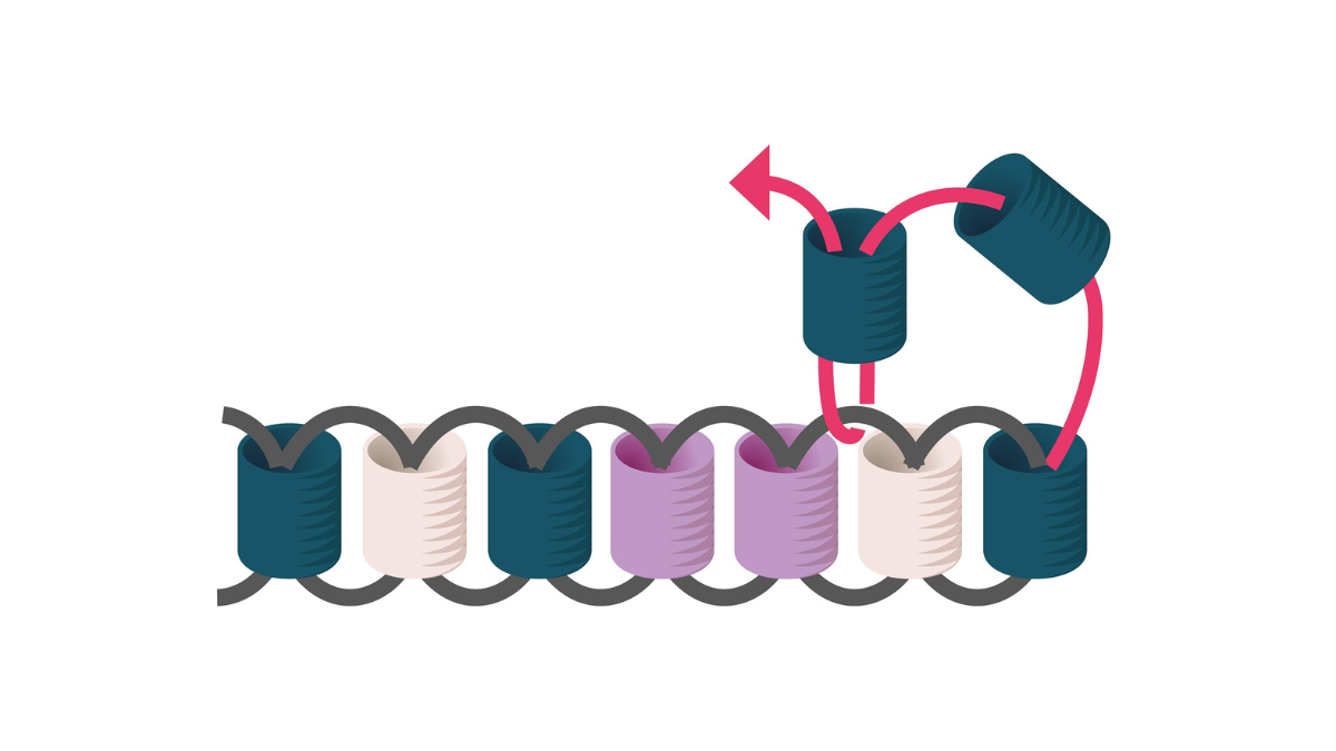 Perline Miyuki per tessere i regali di Natale per gli ospiti : Tappa 4