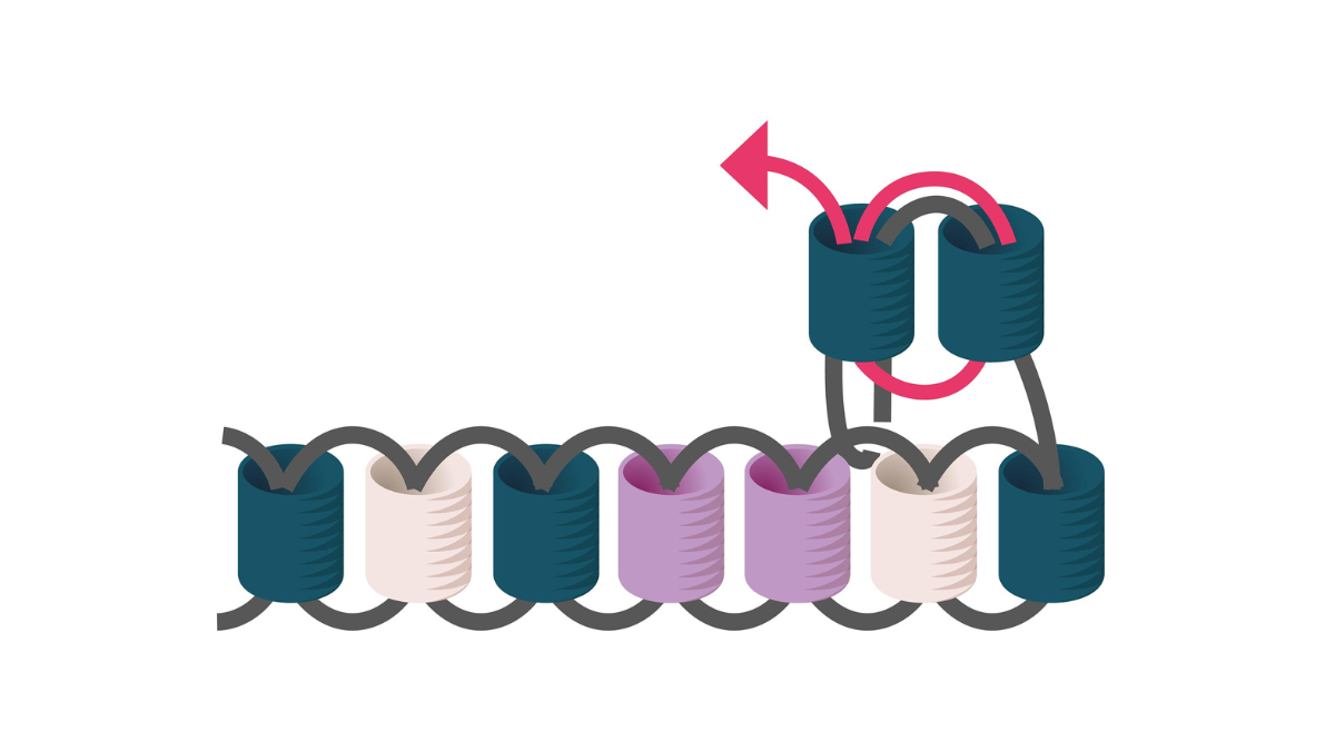 Perline Miyuki per tessere i regali di Natale per gli ospiti : Tappa 5
