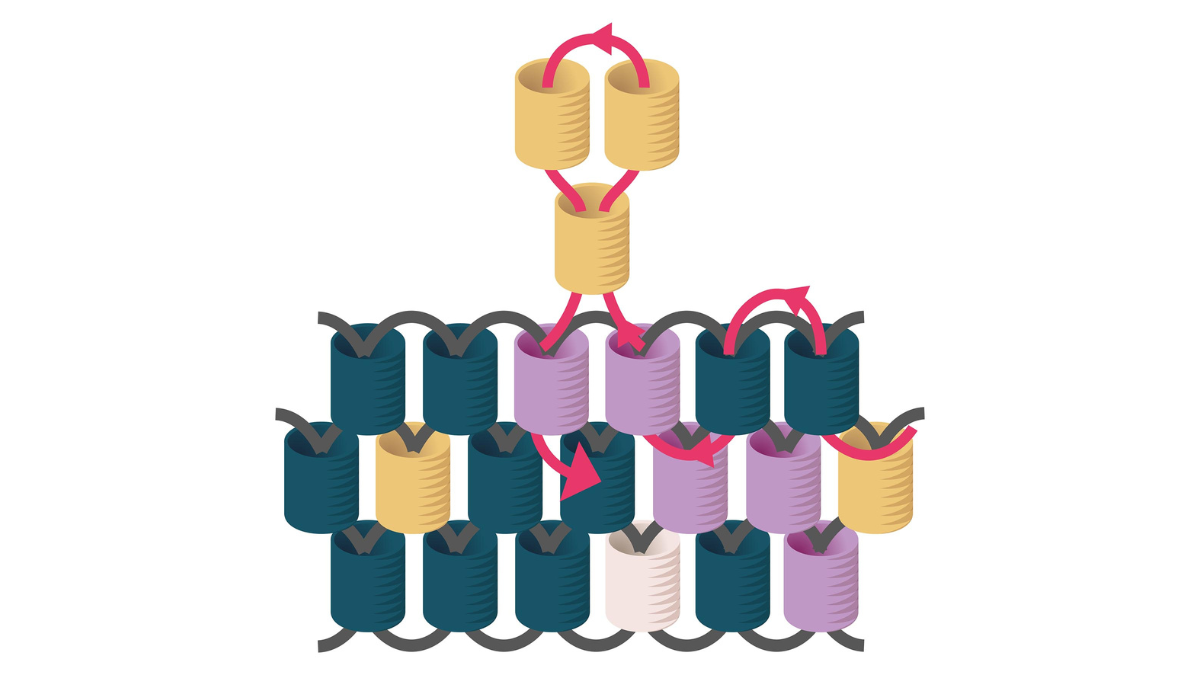 Perline Miyuki per tessere i regali di Natale per gli ospiti : Tappa 6