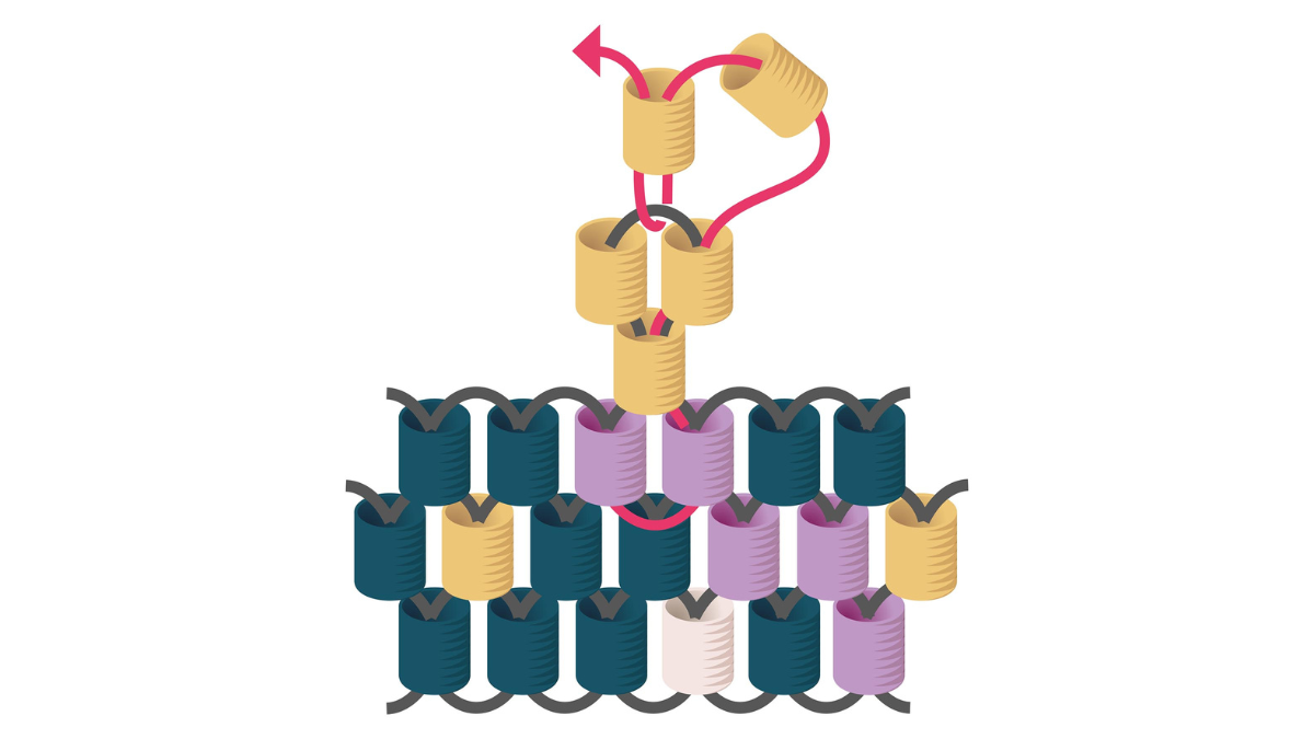 Perline Miyuki per tessere i regali di Natale per gli ospiti : Tappa 7