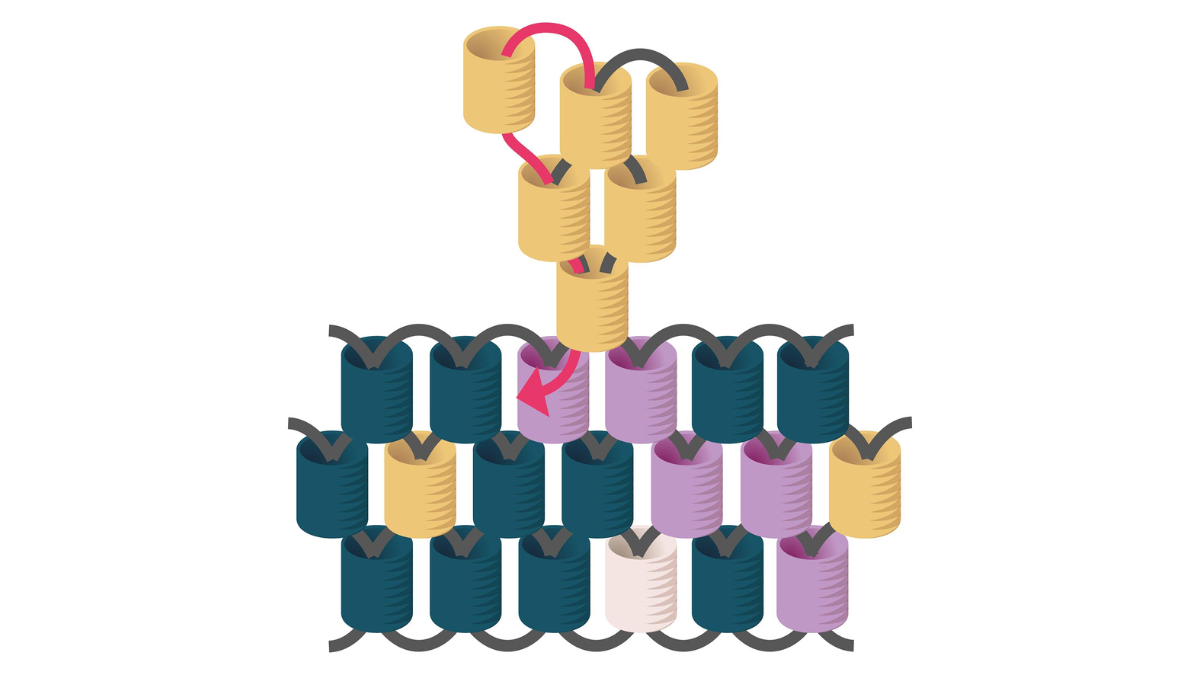 Perline Miyuki per tessere i regali di Natale per gli ospiti : Tappa 8