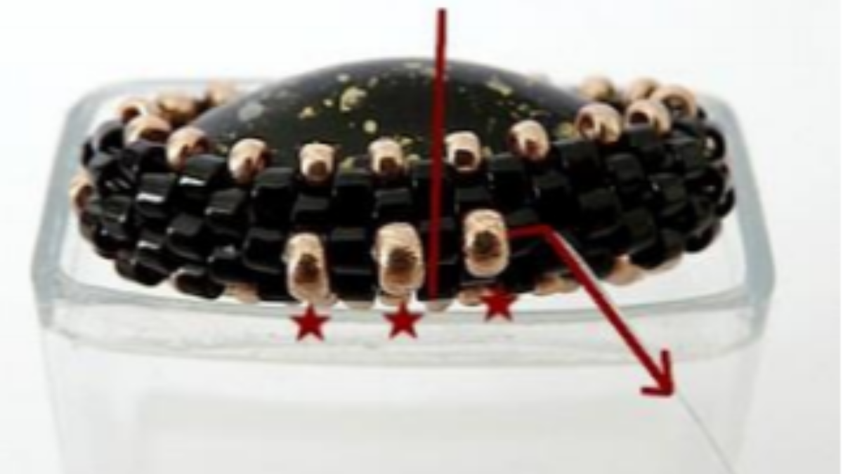 Accessorio borsa, angelo perla pompon con perle Athos di Puca : Tappa 17