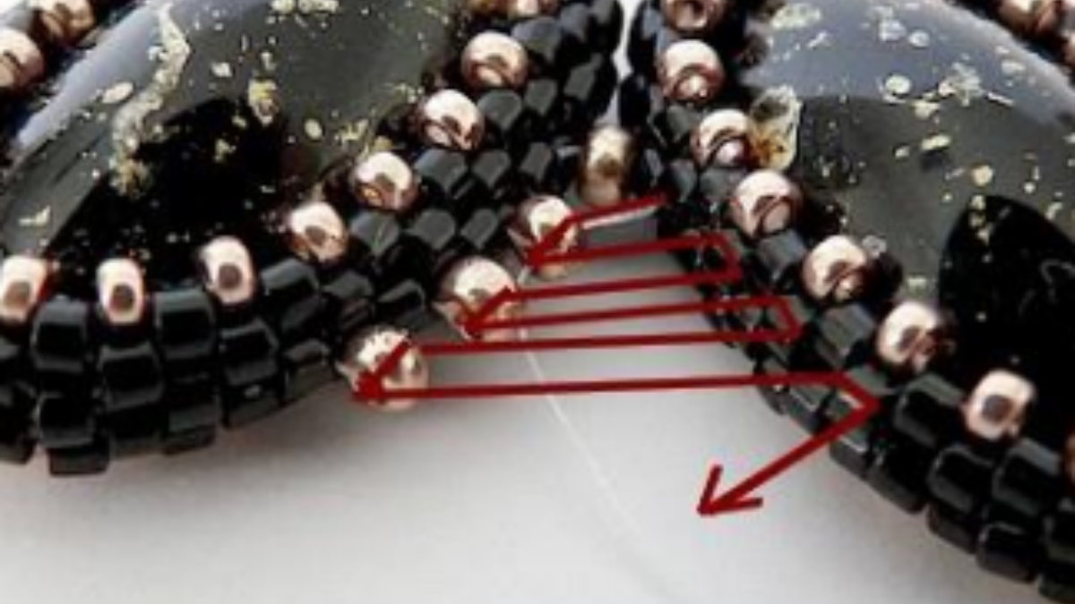 Accessorio borsa, angelo perla pompon con perle Athos di Puca : Tappa 19