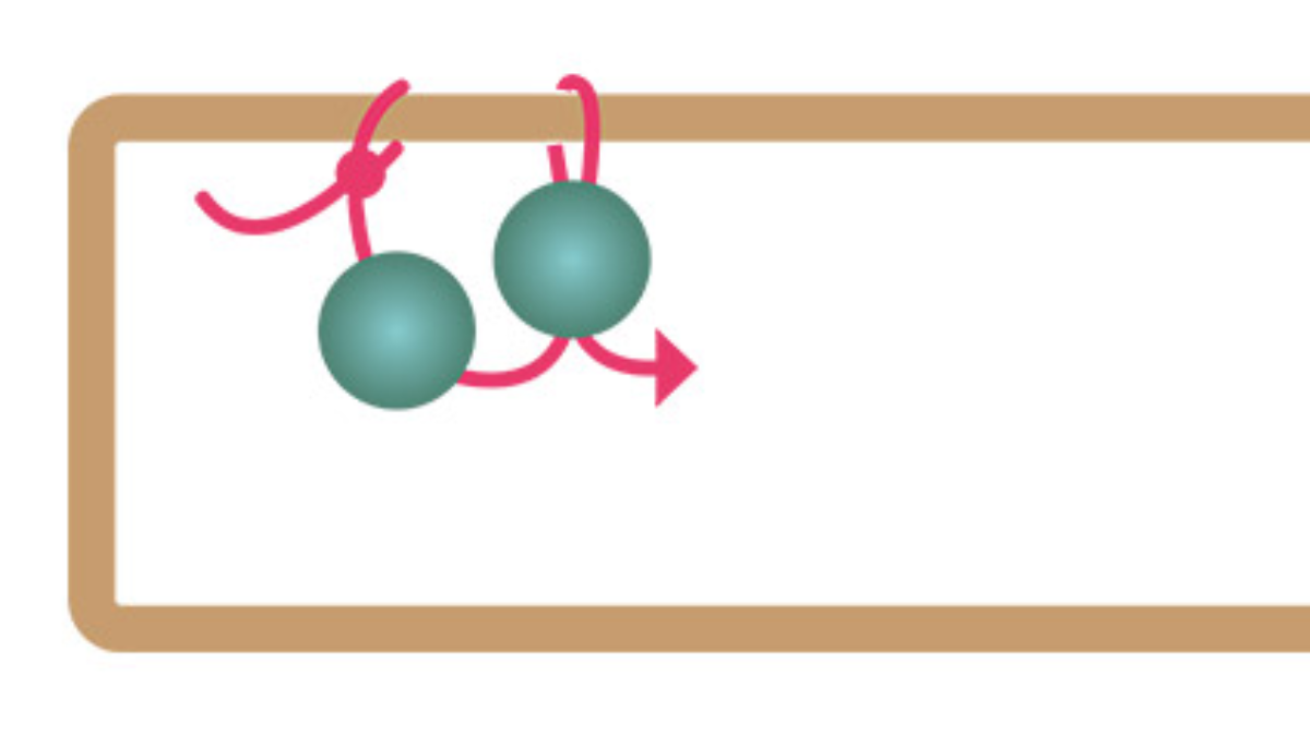 Orecchini rettangolari lunghi con perline di turchese africano : Tappa 1
