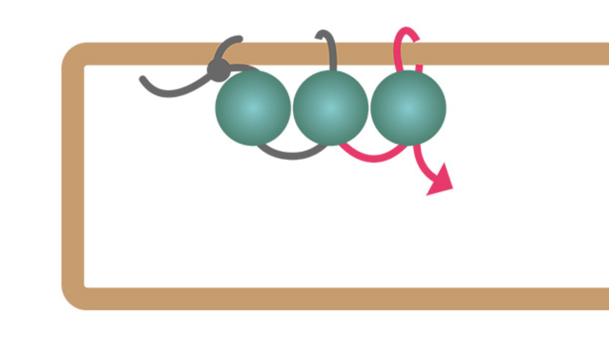 Orecchini rettangolari lunghi con perline di turchese africano : Tappa 2