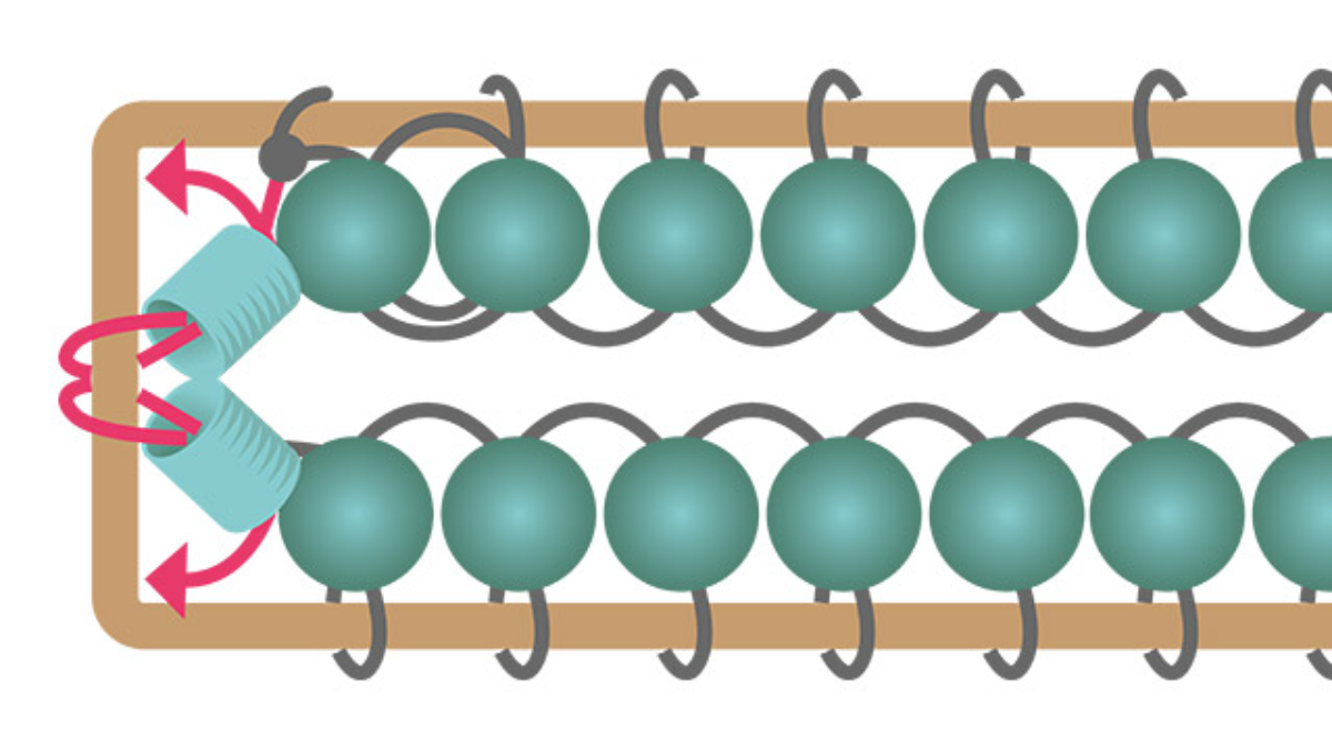 Orecchini rettangolari lunghi con perline di turchese africano : Tappa 5