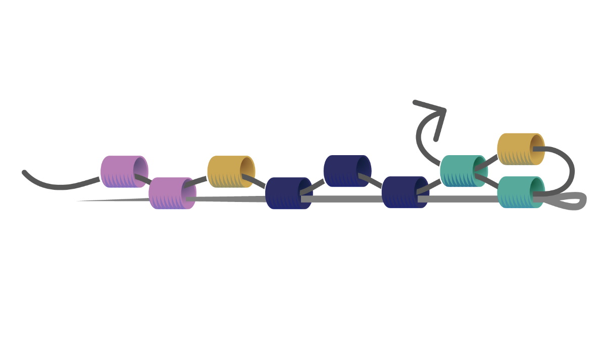 Miyuki perla intrecciare braccialetto Peyote tecnica Pair : Tappa 3