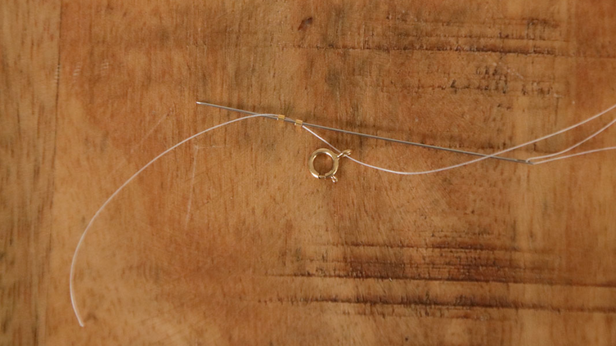 Bracciale di frutta fai da te con perline di semi : Tappa 1