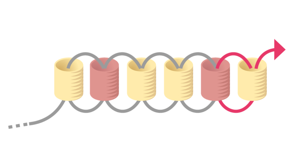Orecchini Miyuki pastello a punto mattone con griglia di tessitura : Tappa 5