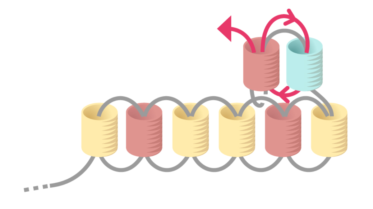 Orecchini Miyuki pastello a punto mattone con griglia di tessitura : Tappa 7