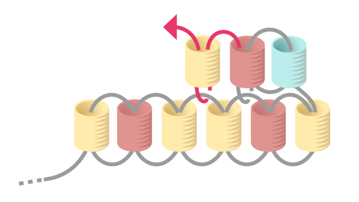 Orecchini Miyuki pastello a punto mattone con griglia di tessitura : Tappa 8
