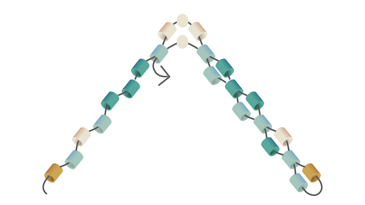 Miyuki bracciale tessitura Mississippi turchese : Tappa 3