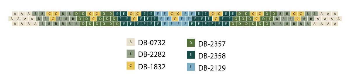 Schema Collana Miyuki oro in Peyote dispari