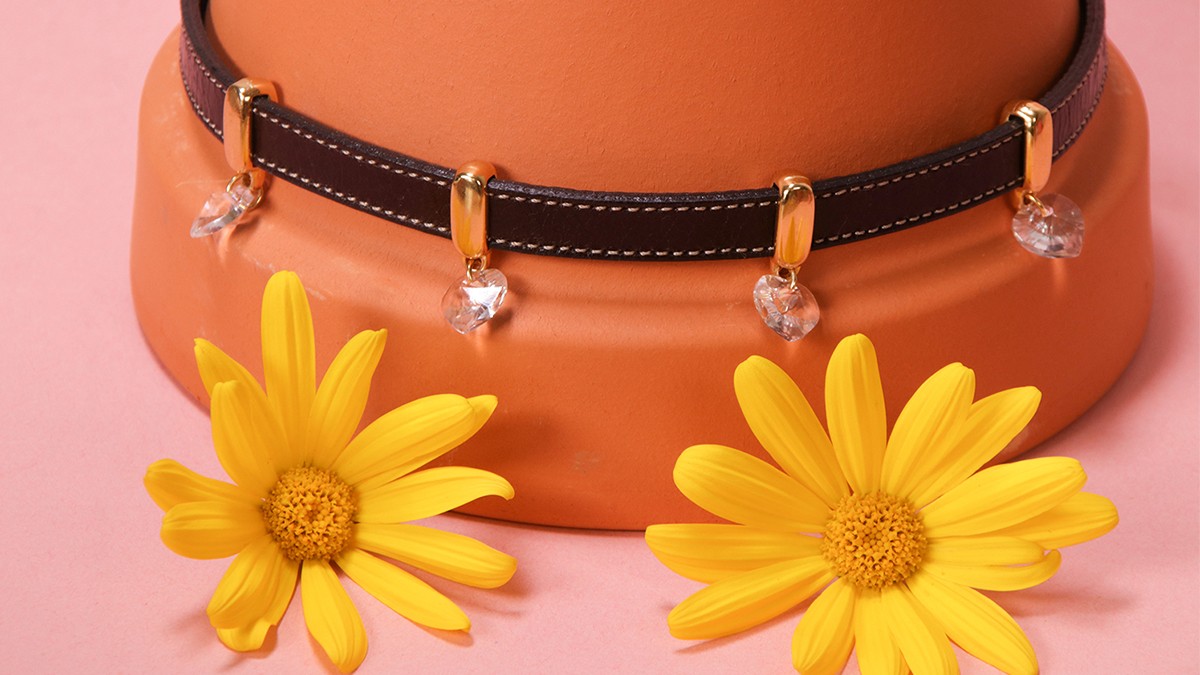 Schema Collare per cani fai da te: corda di cuoio e cristalli Schema Collare per cani fai da te: corda di cuoio e cristalli