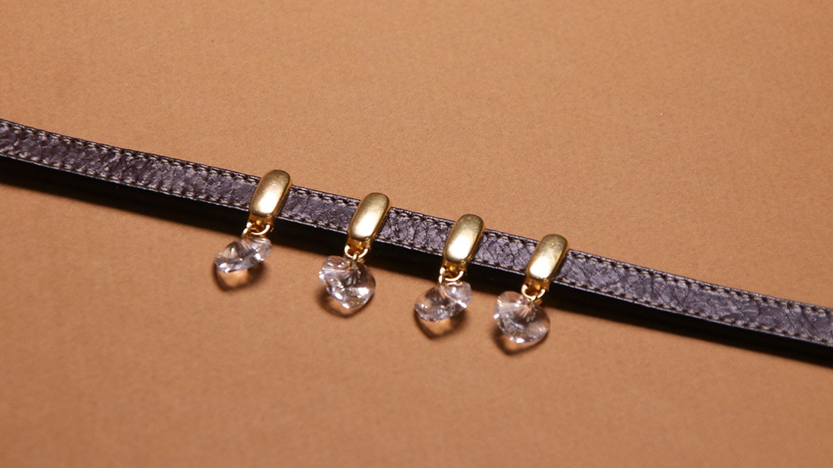 Collare per cani fai da te: corda di cuoio e cristalli : Tappa 3 Collare per cani fai da te: corda di cuoio e cristalli : Tappa 3