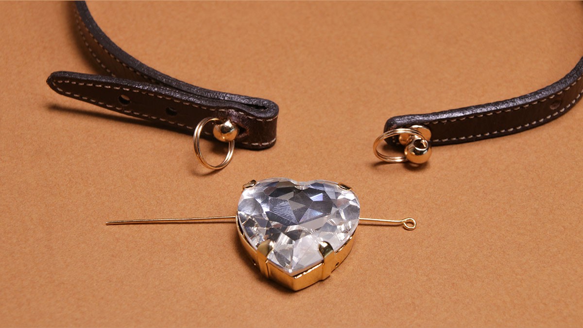 Collare per cani fai da te: corda di cuoio e cristalli : Tappa 7 Collare per cani fai da te: corda di cuoio e cristalli : Tappa 7