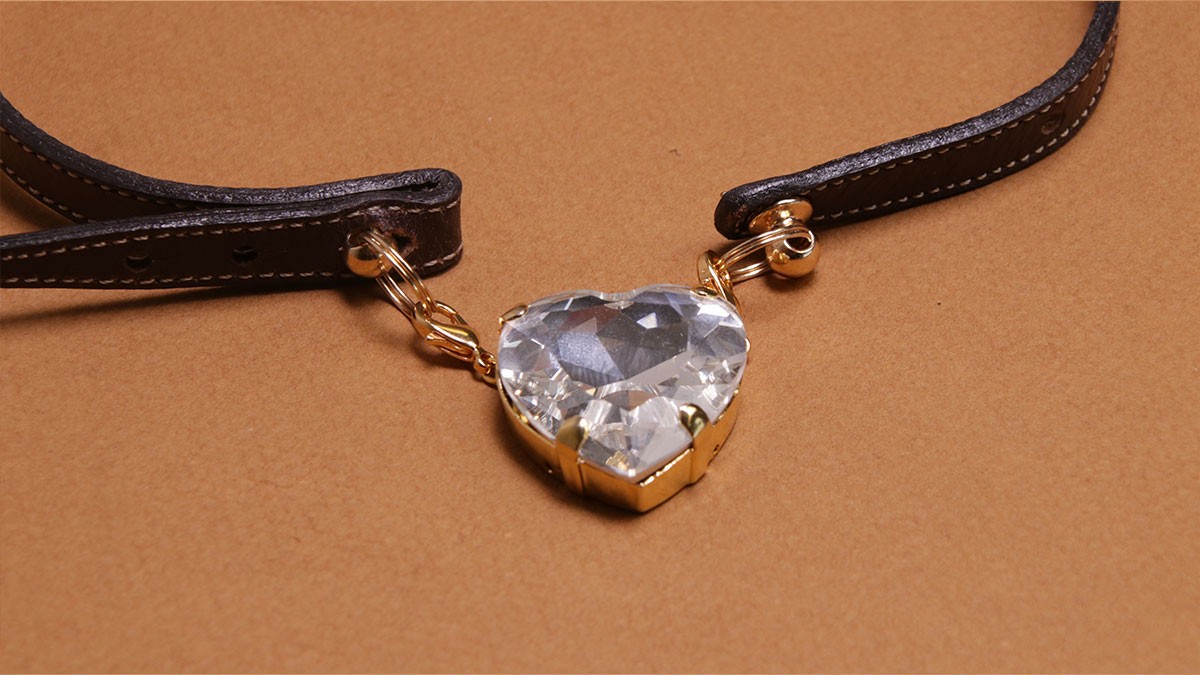 Collare per cani fai da te: corda di cuoio e cristalli : Tappa 11 Collare per cani fai da te: corda di cuoio e cristalli : Tappa 11