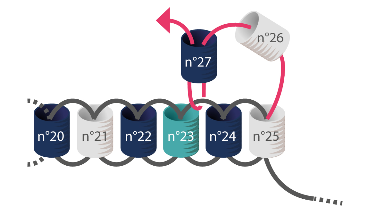 3 Braccialetti Miyuki a punto metallico e macramè : Tappa 4