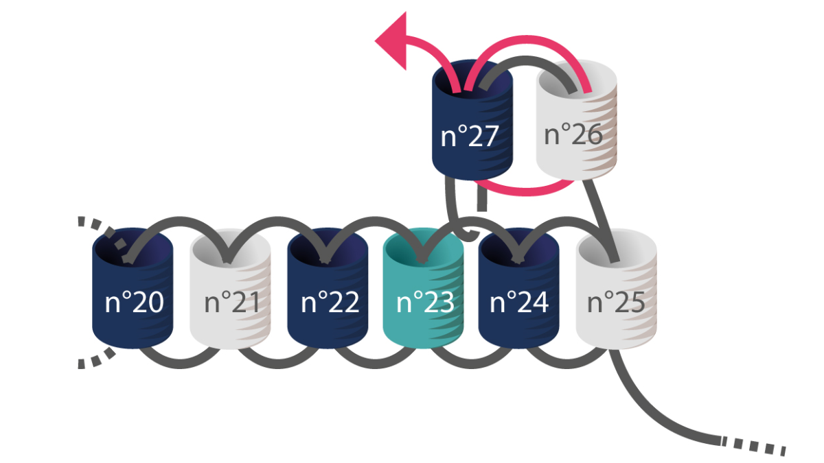 3 Braccialetti Miyuki a punto metallico e macramè : Tappa 5