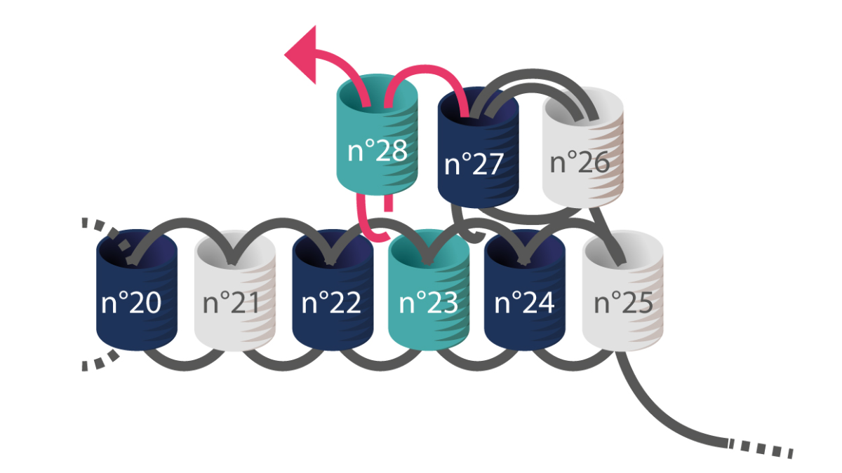 3 Braccialetti Miyuki a punto metallico e macramè : Tappa 6