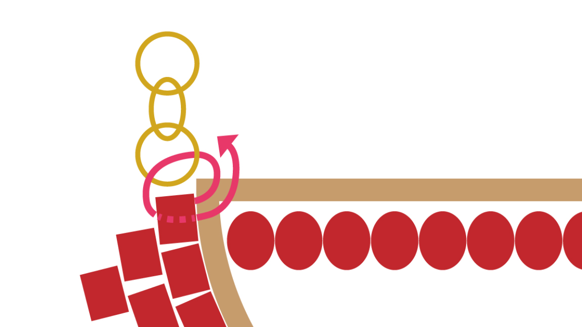 Collana Miyuki a mezzaluna tecnica a punto mattone : Tappa 7 Collana Miyuki a mezzaluna tecnica a punto mattone : Tappa 7