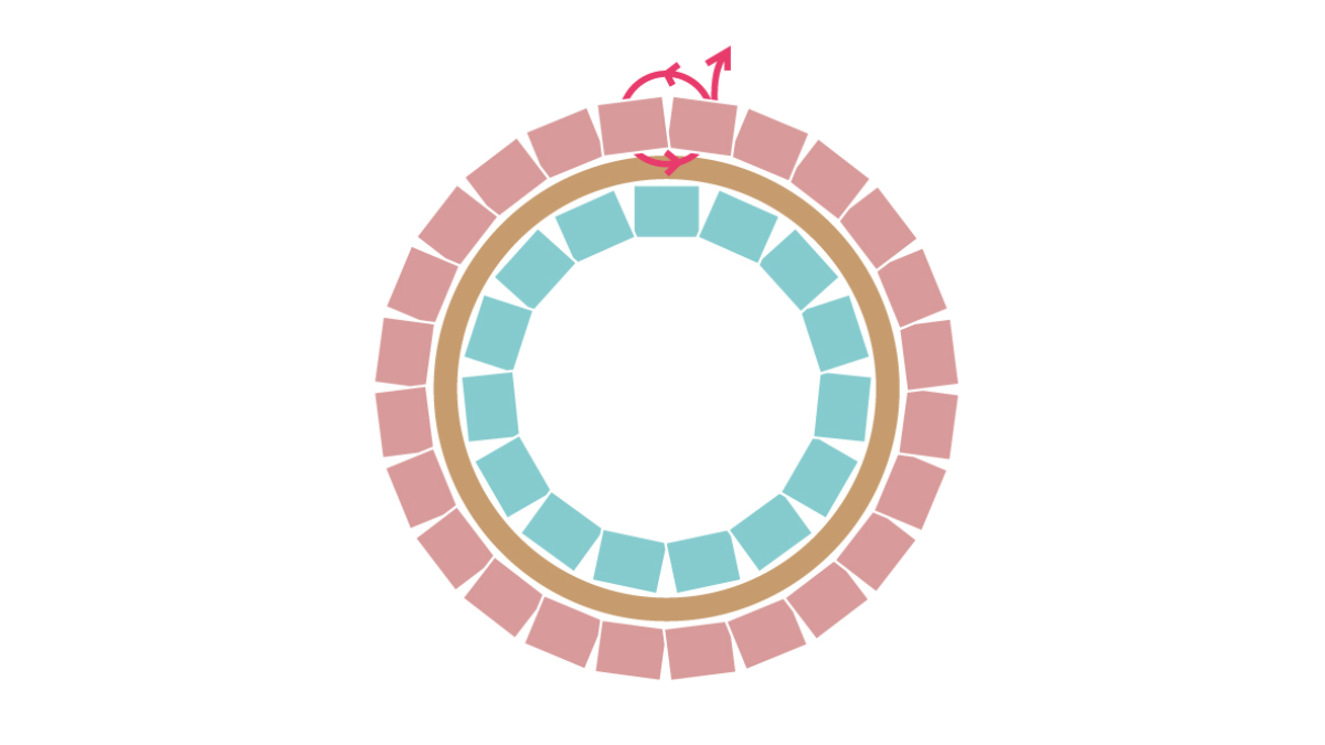 Collana Miyuki con ciondolo rotondo Brick Stitch : Tappa 7