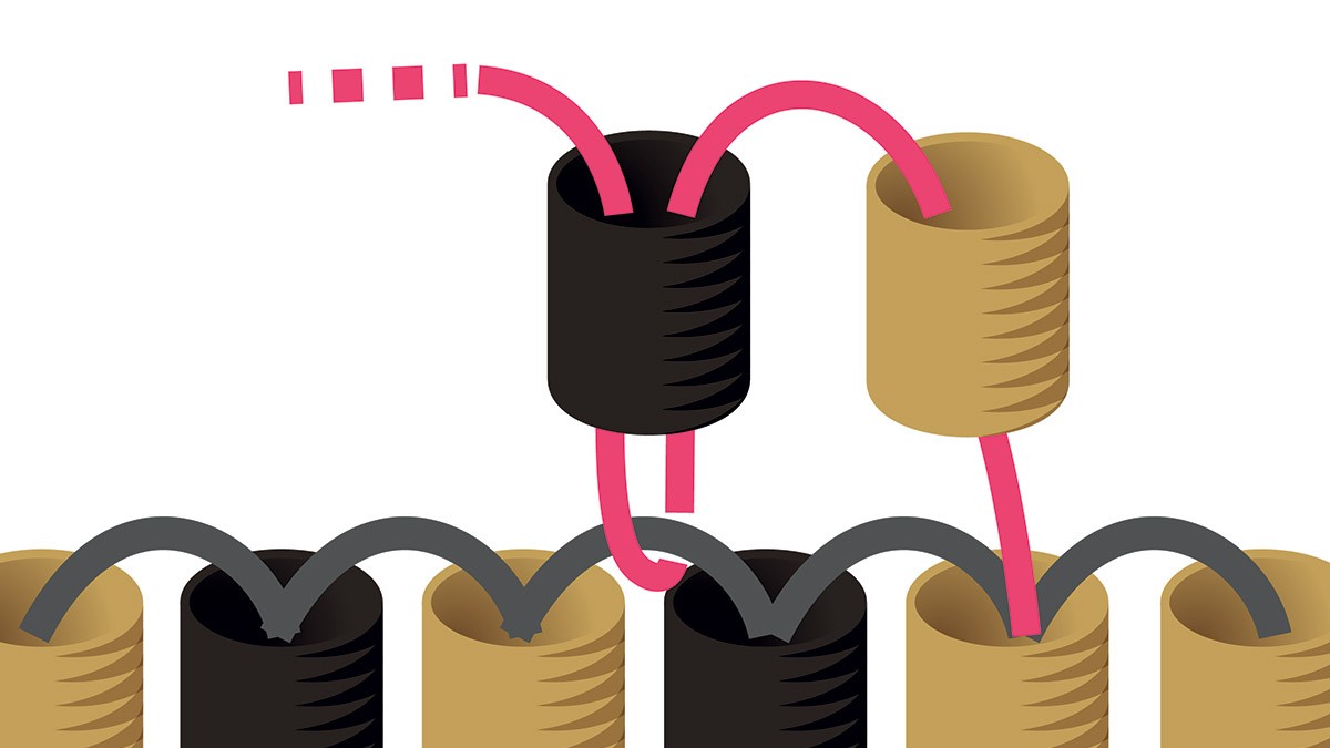 Collana Miyuki con griglia di tessitura in nero e oro Brick Stitch : Tappa 5