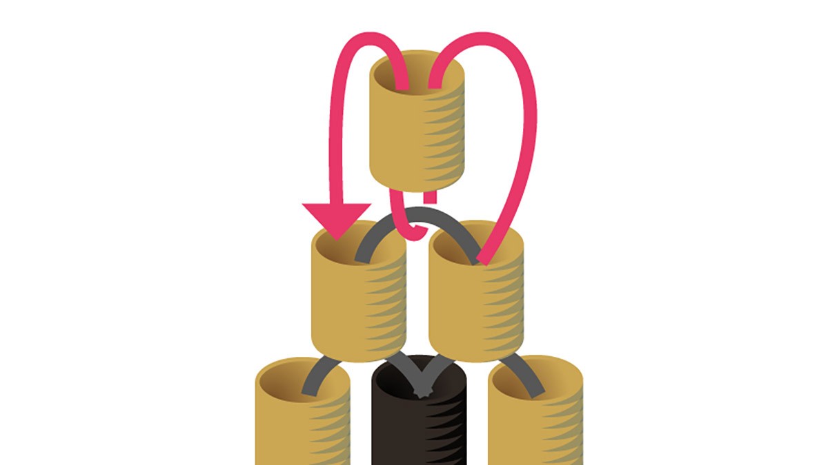 Collana Miyuki con griglia di tessitura in nero e oro Brick Stitch : Tappa 7