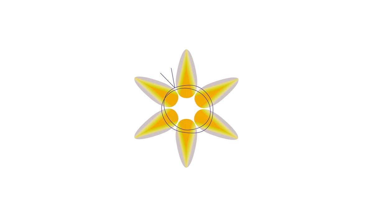 Bracciale da donna con perle di vetro Preciosa Chilli : Tappa 4