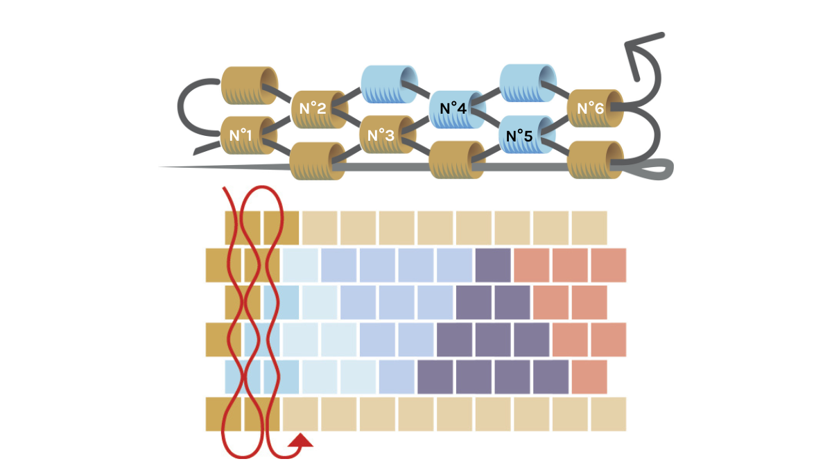 Bracciale a triangolo con Perle Miyuki 11/0 in coppia peyote : Tappa 5